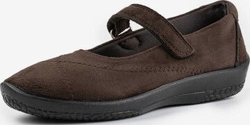 Arcopedico Ballet Flats with Strap in Brown: front