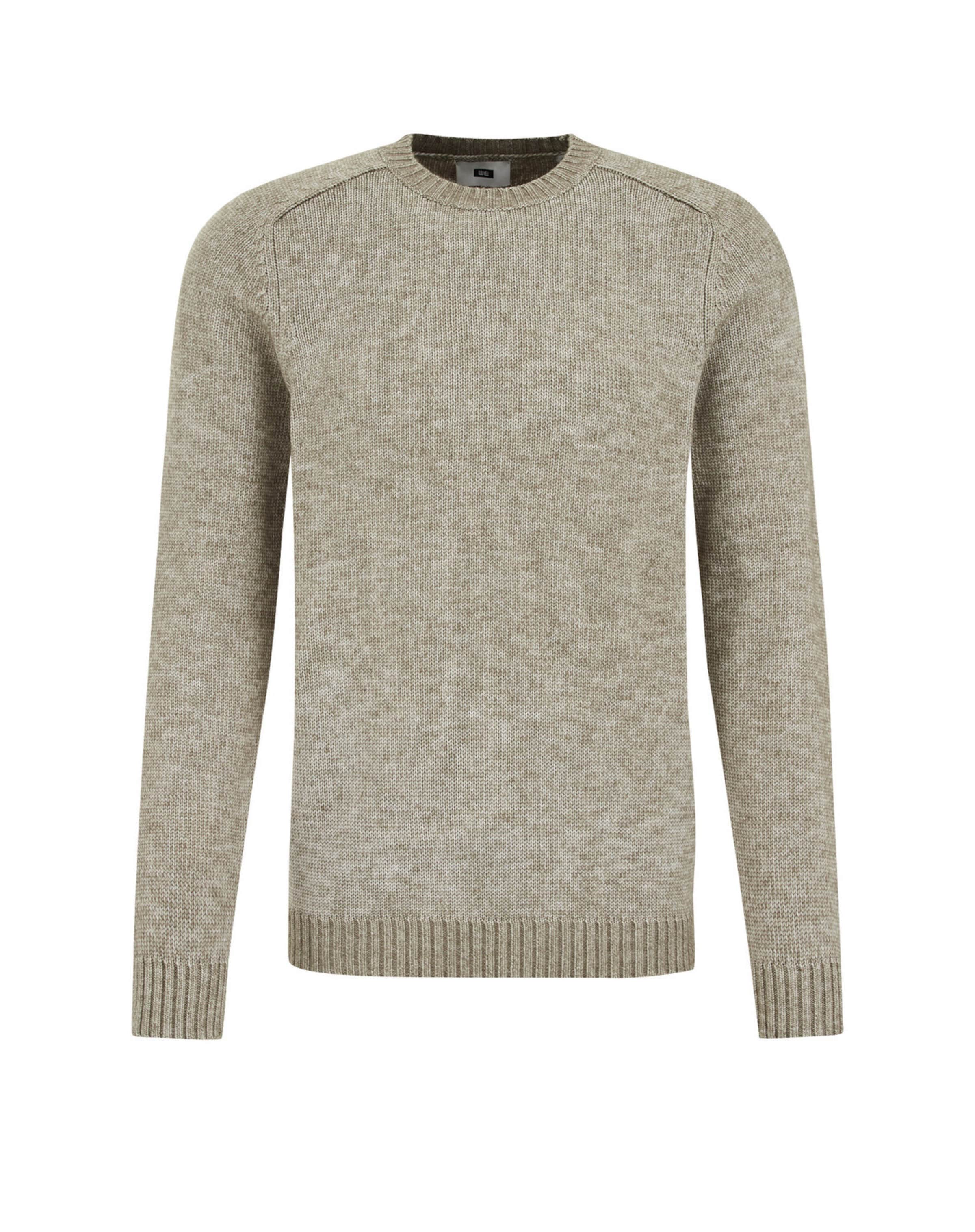 WE Fashion Свитер в Зеленый: спереди