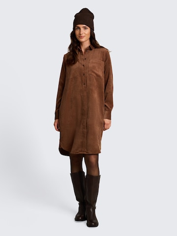 TOM TAILOR Shirt dress in Brown: front