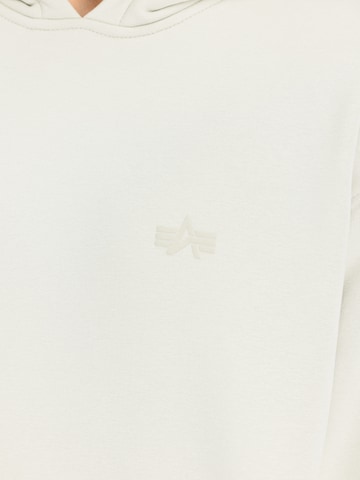 ALPHA INDUSTRIES Sweatshirt 'DTM ML' in Grau: Vorderseite