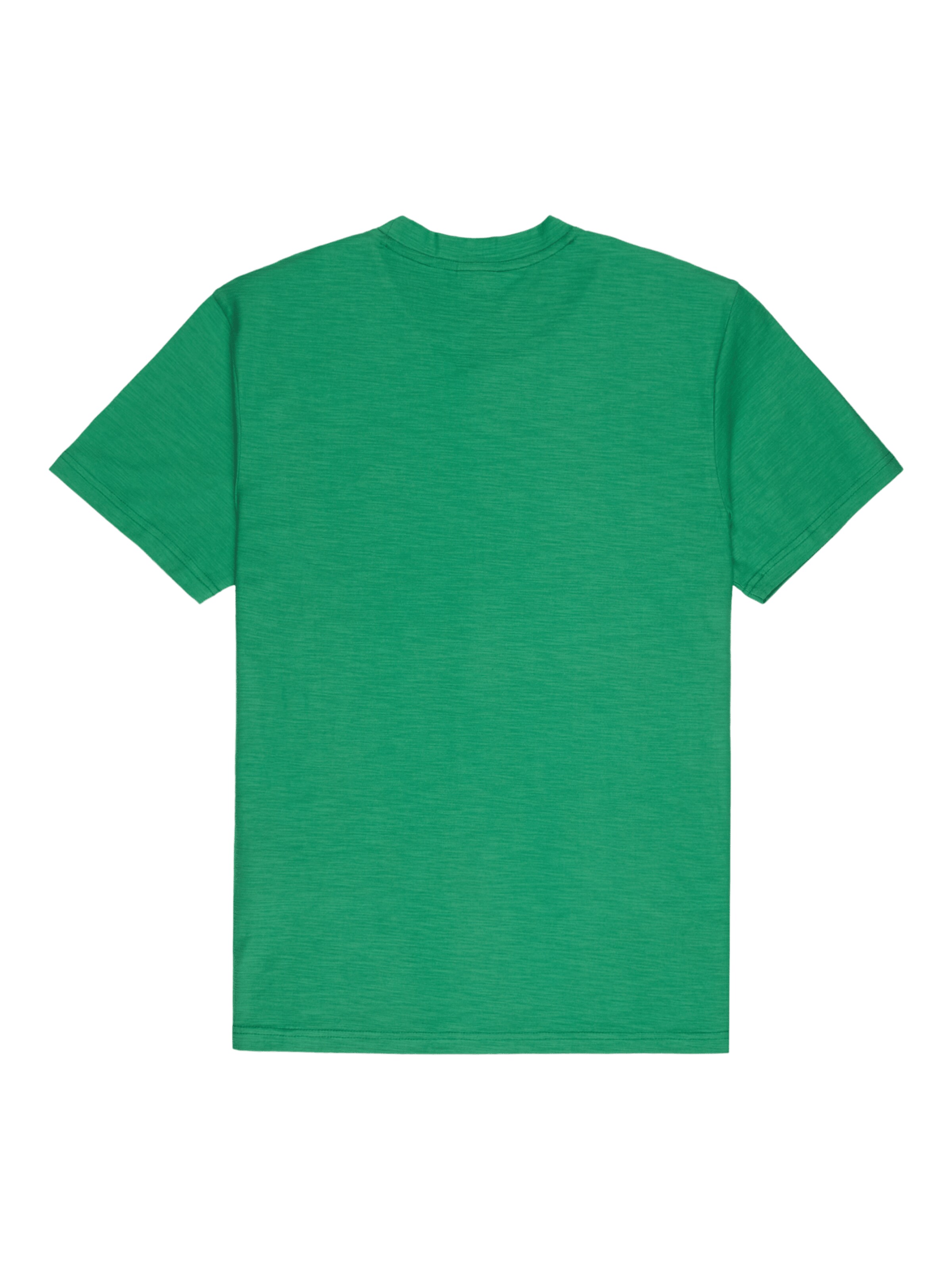 QUIKSILVER Shirt in Green