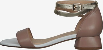 PETER KAISER Strap Sandals in Brown