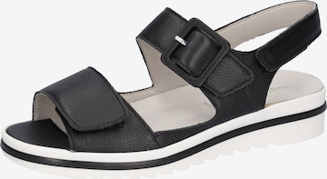 WALDLÄUFER Strap Sandals in Black: front