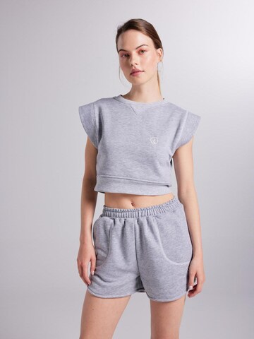 HOLLY LOLLY Sweatshirt in Grijs: voorkant