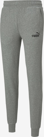 Pantalon de sport 'Essentials' PUMA en gris : devant