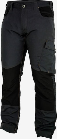 FORSBERG Athletic Pants in Grey: front