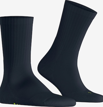 FALKE Socks in Blue: front
