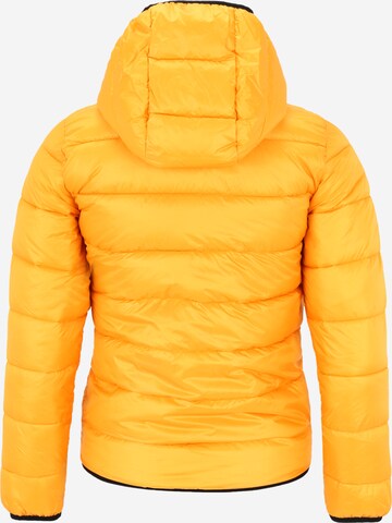 Champion Authentic Athletic Apparel Winter Jacket 'Legasy' in Yellow