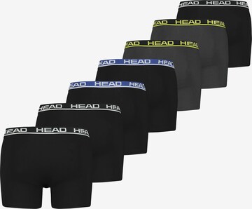 HEAD Boxer shorts in Grey