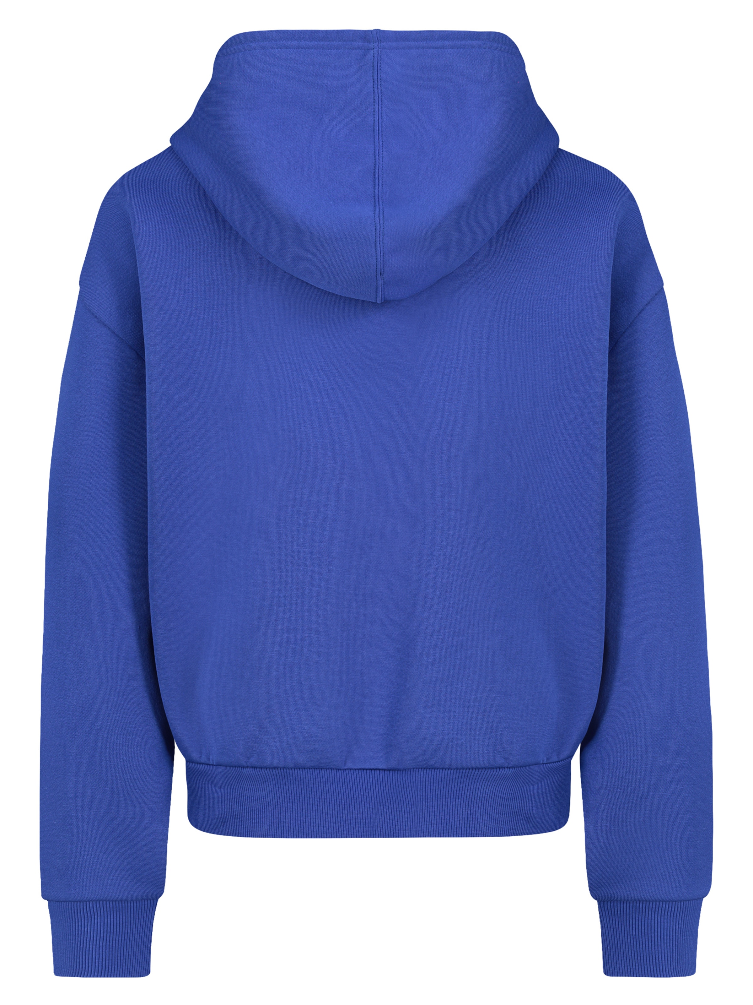 Sublevel Sweatshirt in Blau