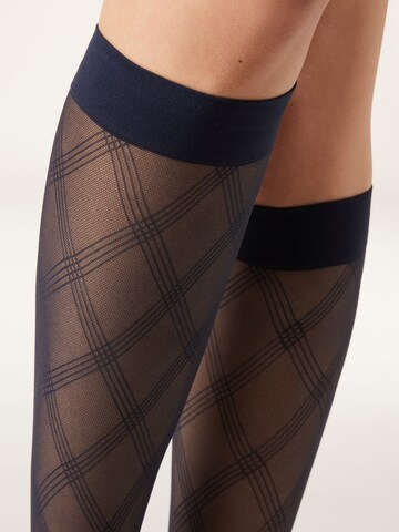 CALZEDONIA Kniestrümpfe in Blau