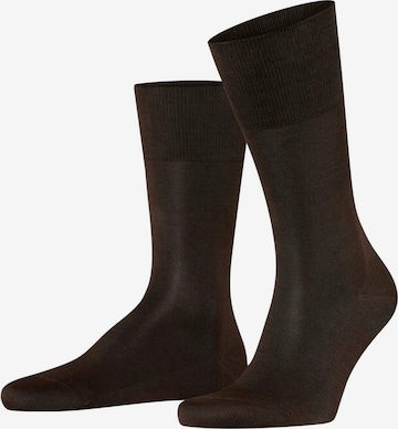 Chaussettes 'Tiago' FALKE en marron : devant