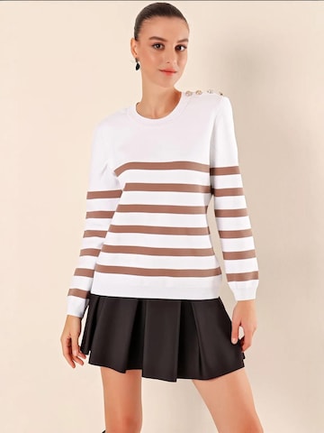 Bigdart Trui in Bruin: voorkant