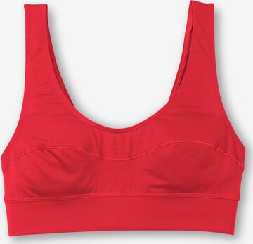 CALIDA Bra 'Elastic' in Red: front