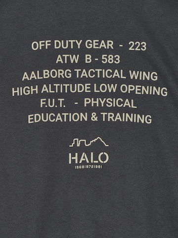 HALO Sweatshirt in Grau