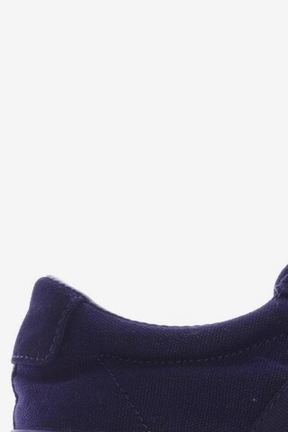 Polo Ralph Lauren Sneaker 39 in Blau