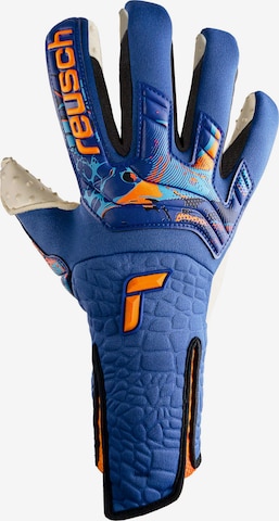 REUSCH Athletic Gloves in Blue