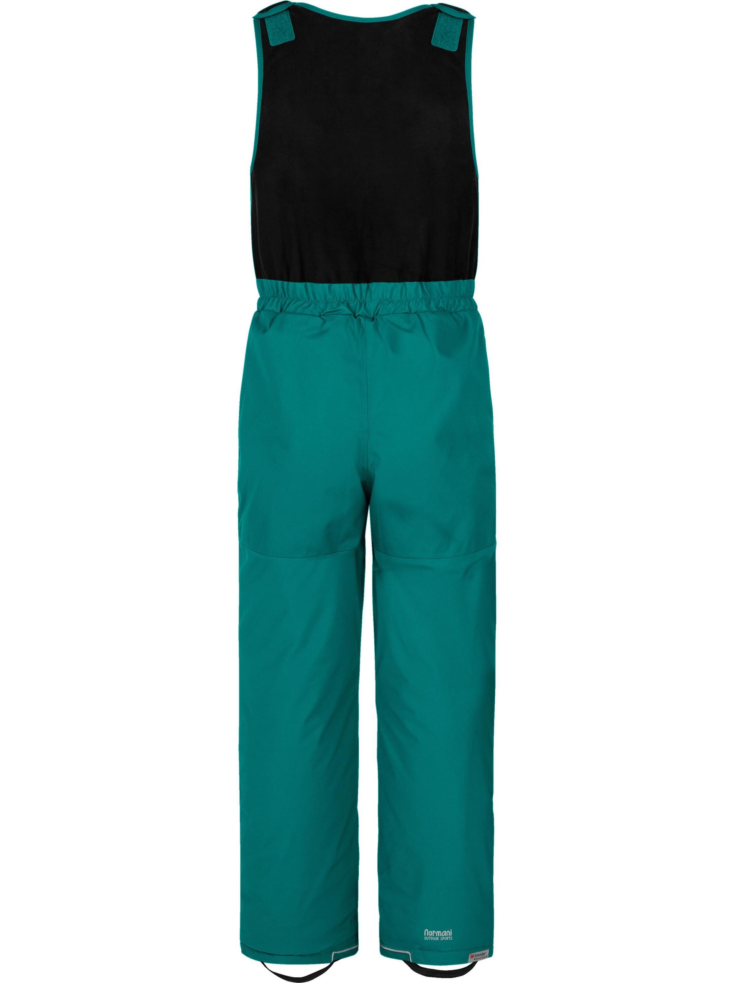 Regular Pantalon d'extérieur 'Carmacks' normani en bleu