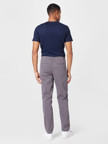 DEDICATED. Regular Chino Pants in Grey