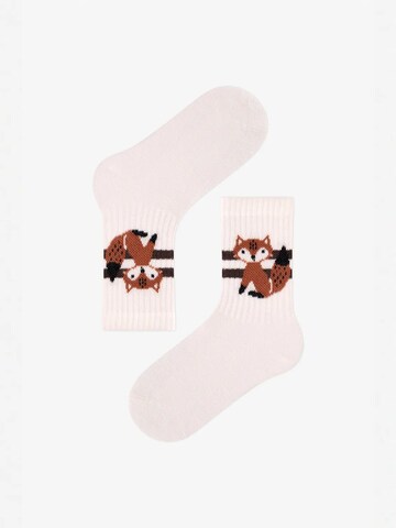 Penti Sokken 'PENTI Jungen Tiny Tails 1 Paar Socken' in Bruin