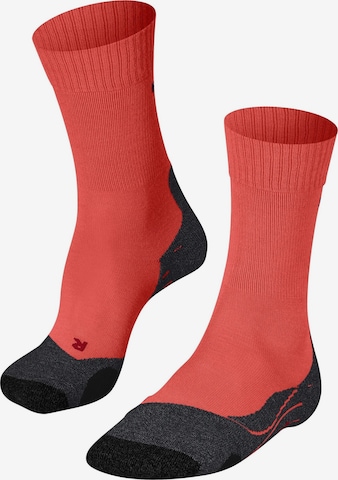 FALKE Sportsocken 'TK2 Explore' in Orange: Vorderseite