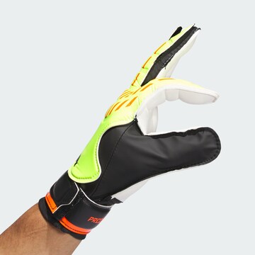 Gants de sport 'Predator' ADIDAS PERFORMANCE en mélange de couleurs