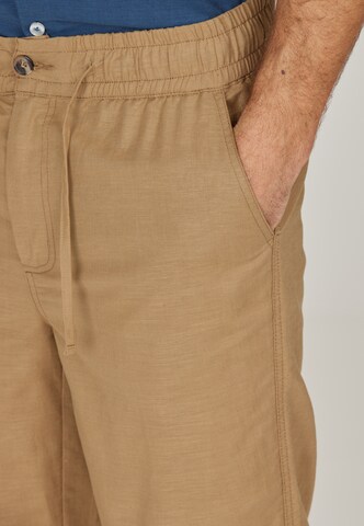 Cruz Regular Pants 'Reagan' in Brown