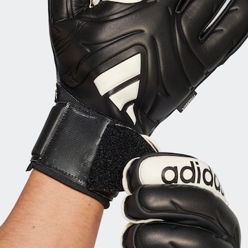 ADIDAS PERFORMANCE Sporthandschuhe in Schwarz