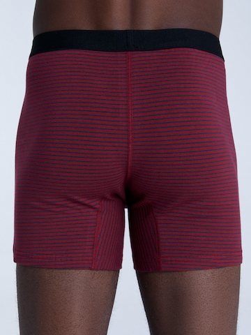 Albero Natur Boxershorts in Grün