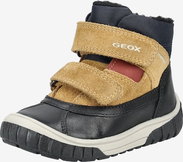GEOX Laarzen in Zwart: voorkant