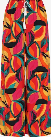 IZIA Kalhoty 'Fashion Look' – mix barev: přední strana