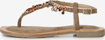 Infradito di CAFè NOIR in marrone: frontale