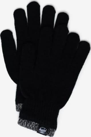 Herschel Rękawiczki pięciopalczaste 'Elmer Gloves Stripe Black' w kolorze czarny: przód