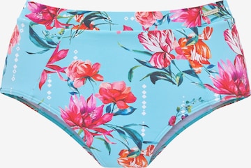 SUNSEEKER Bikinibroek in Blauw: voorkant