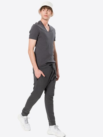 REPLAY Tapered Trousers in Grey