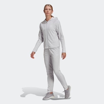 Survêtement ADIDAS SPORTSWEAR en gris : devant