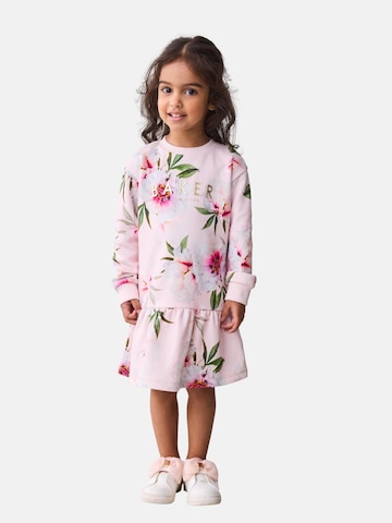 Baker by Ted Baker Jurk in Roze