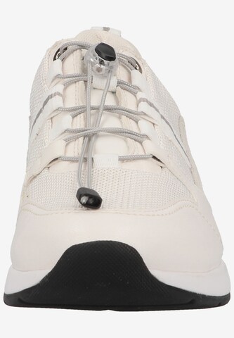 Paul Green Sneaker in Beige