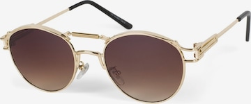 styleBREAKER Sunglasses 'Panto Sonnenbrille mit Federn' in Brown: front