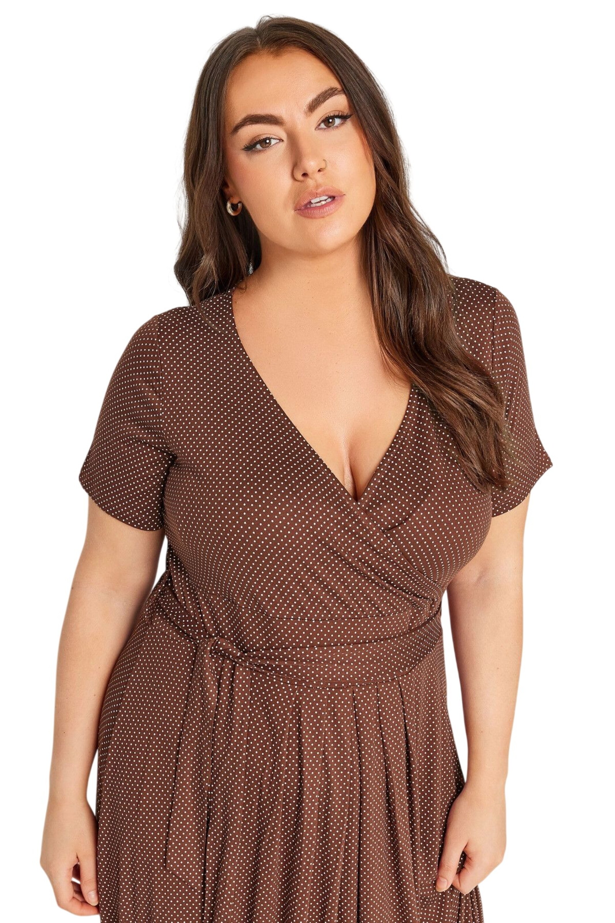 Stil Diva Dress in Brown