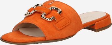 GABOR Pantofle – oranžová: přední strana