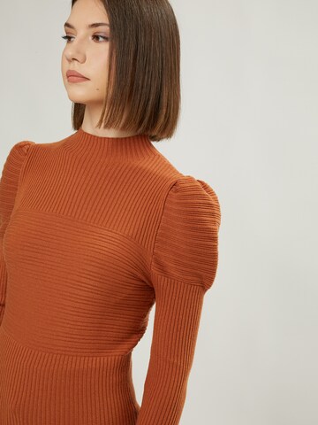 Influencer Pullover in Braun