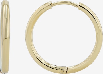 Akzent Earrings 'wasserfest' in Gold: front