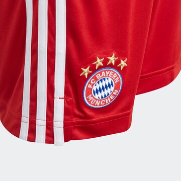 ADIDAS PERFORMANCE Regular Sportbroek 'FC Bayern München' in Rood