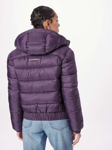 Superdry Winter Jacket in Purple