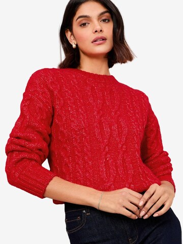 Friends Like These Pullover in Rot: Vorderseite
