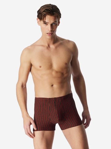 SCHIESSER Boxershorts '95/5 Essentials - Cotton' in Gemengde kleuren