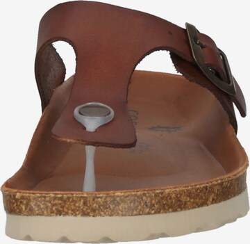 COSMOS COMFORT T-Bar Sandals in Brown