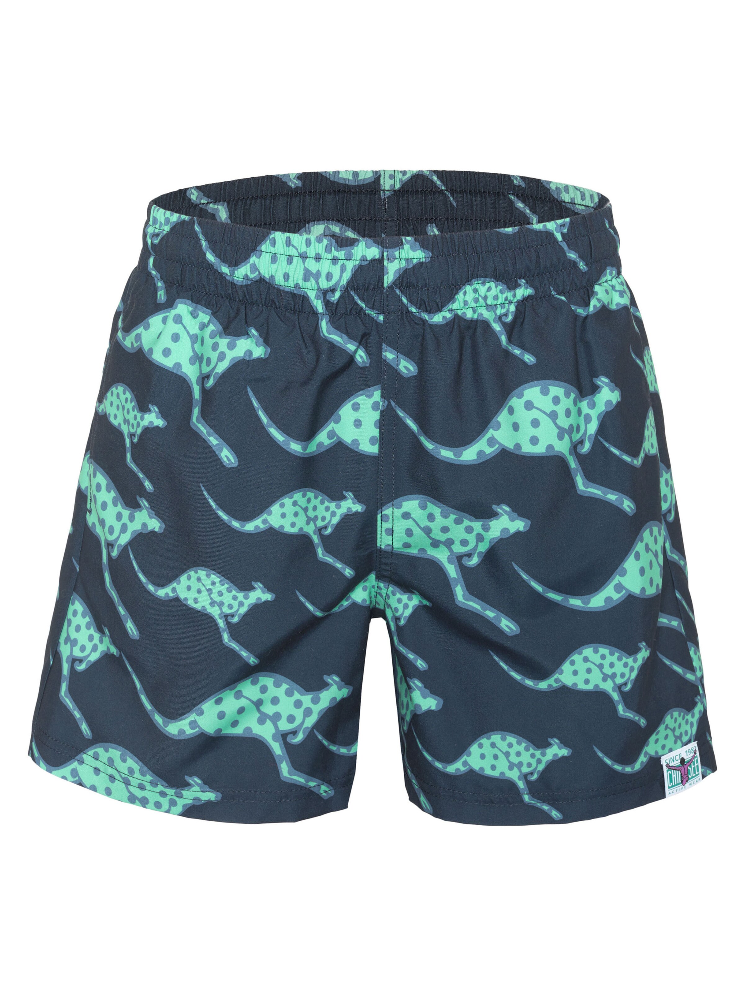 CHIEMSEE Athletic Swimwear in Blue: front