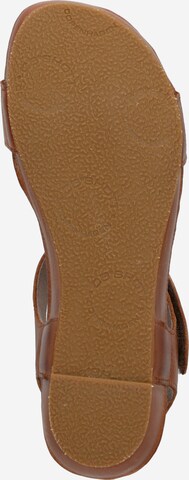 Ca'Shott Sandals in Brown